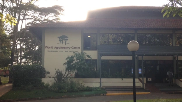 Last Days - Only Days - and First Days